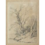 Joseph Farrington (1747-1821)Study of treesSigned, pencil, 31cm by 21cm