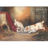 Manner of George Armfield (1808-1893) Two terriers on the scentOil on board, 29.5cm by 39.5cm
