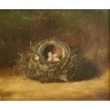 Benjamin Hold (1858-1917) Birds Nest with green eggs Signed and dated 1896, oil on canvas,