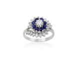 An 18 Carat White Gold Sapphire and Diamond Cluster Ring the central round brilliant cut diamond