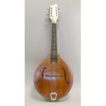 Mandolin