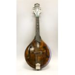 Mandolin Model MT