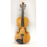 Violin