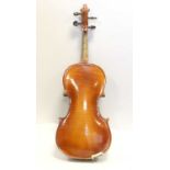 Violin