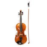 Violin