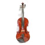 Violin By Jeffery J Gilbert