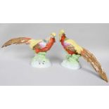 A Pair of Dresden Porcelain Exotic BirdsIn good condition. Tallest is 23cm.