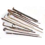 A Collection of 19th century and Later Walking Sticks, Canes, a Parasol handle and Batterns,