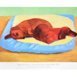 After David Hockney OM, CH, RA (b.1937)"David Hockney Dog Paintings Salts Mill 1995"Offset