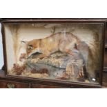 Taxidermy: A Cased European Red Fox and Rabbit, circa early 20th century, a full mount adult fox