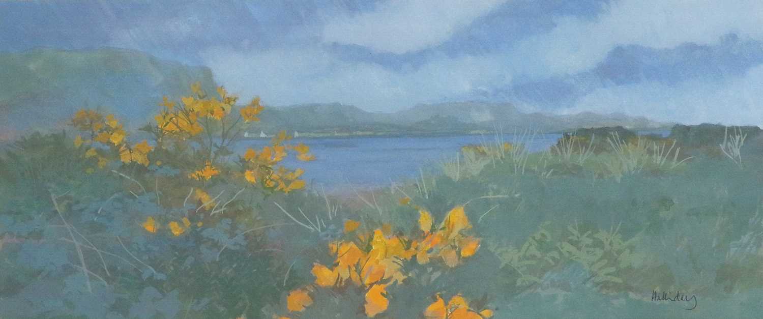 Irene Halliday (b.1931) Scottish''Easdale Ireland Landscape''Signed, gouache, 19cm by 43cm