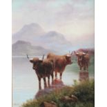 F* Huish (19th/20th century)Highland cattle watering Signed, oil on canvas, 39.5cm by 29.5cm