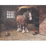 Frank Wright (20th Century)Harnessed Clydesdale horse in a stable interiorSigned, oil on canvas,