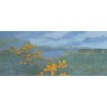 Irene Halliday (b.1931) Scottish''Easdale Ireland Landscape''Signed, gouache, 19cm by 43cm