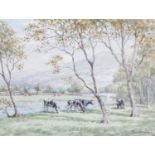 Tom Whitehead (1886-1959)Friesian cattle grazing on a river bankSigned, watercolour, 27cm by 37.5cm