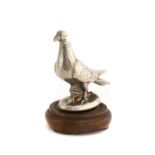 An Early 20th Century Chrome on Brass Mascot, in the form of a pigeon, on an oval base11cm high