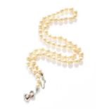 A Cultured Pearl Necklace, with a ruby and cultured pearl clasp stamped '750', length 48.5cmGross