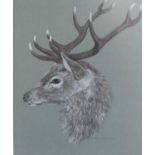 Rish Gordon (20th Century) Study of a stag's head in profile Signed and dated 1977, gouache;