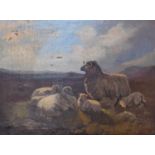 W. Hallam (20th Century)Moorland scene with sheep at restSigned and dated 1917, oil on canvas, 49.