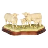 Border Fine Arts 'Charolais Family Group', model No. B0184 by Kirsty Armstrong, limited edition