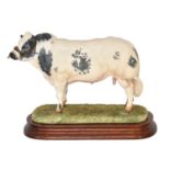 Border Fine Arts 'Belgian Blue Bull' (Style One), model No. B0406 by Ray Ayres, limited edition