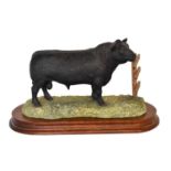 Border Fine Arts 'Aberdeen Angus Bull' (Style One), model No. L59 by Ray Ayres, limited edition