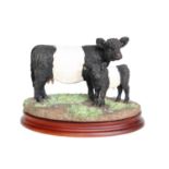 Border Fine Arts 'Galloway Cow & Calf', model No. B1260 by Kirsty Armstrong, limited edition 66/500,