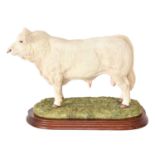 Border Fine Arts 'Charolais Bull' (Style Two), model No. B0587 by Jack Crewdson, limited edition