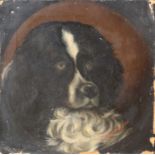 S Grünewald (19th Century) German/Austrian Study of a dogs head in a feigned oval Signed and dated