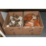 Antlers/Horns: A Collection of Roebuck Antlers (Capreolus capreolus), a collection fifty adult