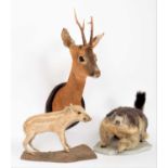 Taxidermy: A Group of European Animals, circa late 20th century, a full mount adult Alpine Marmot