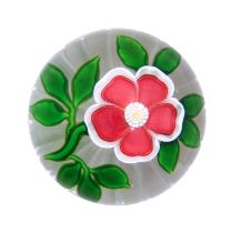 A Baccarat Dog Rose Paperweight, circa 1850, the red and white five-petalled flower centred by a