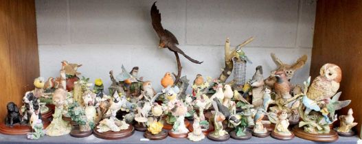Border Fine Arts and Country Artists Bird Models, including "Flying Eagle" and "Bluetit", both by
