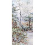 Emilie Lambert (19th Century) Woodland path Signed, watercolour; together with H. Adams, Coastal
