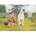 DM & EM Alderson (20th Century) Study of a Jack Russell and Yorkie Terrier Signed and dated 1975,