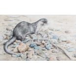 David Parry SWLA (b.1942) Otter on the beach with his catch Signed, watercolour, 35cm by 57.5cm,