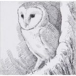 Robert Gillmore MBE PPSWLA (b.1936) "Barn Owl" Signed in pencil, pen and ink drawing, label verso "
