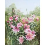 Mary Dipnall (b.1936) "Rose Mallow" Signed, inscribed to artist label verso, oil on canvas, 50cm