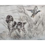 After Henry Wilkinson (British 1921-2011) Springer Spaniel observing a Mallard Signed and numbered