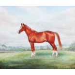 D*S* Vaux (20th Century) Study of a chestnut horse Signed and dated (19)74, watercolour, 49.5cm by