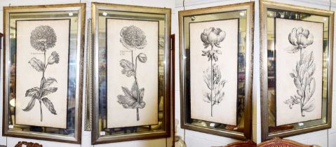 John Richard, a set of four decorative botanical prints, with mirrored plates and silvered frames,