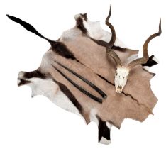 Hides/Horns: A Group of African Game Trophies, circa late 20th century, South Africa, a set of adult