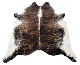 Hides/Skins: Nguni Bull Hide Rug (Bos taurus), modern, an adult hide rug, with overall dark brown