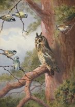 Attributed to John Cyril Harrison (1898-1985) Eagle owl and assorted song birds in a pine tree