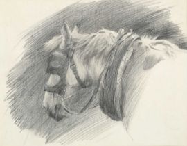 Lucy Elizabeth Kemp Welch (1869-1958) Carthorse Pencil drawing, stamped with the Lucy Kemp Welch