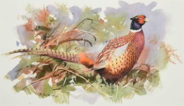 Rodger McPhail (b.1953) California Quail Signed, watercolour, together with a further work by the