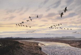 Rodger McPhail (b.1953) "Pinkfooted Geese over the Estuary" Signed, watercolour heightened with