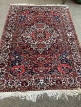 Bakhtiari Rug West Iran, circa 1940 The blood red field of scrolling vines centred by a cusped ivory