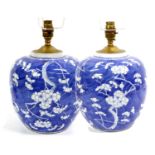 A Pair of Chinese Porcelain Ginger Jars, 19th century, mounted as a tablelamps, painted in