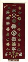 A Collection of Thirty Six Canadian Cap, Glengarry and Collar Badges, First and Second World War,